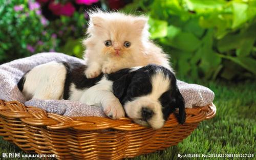 永4.2Ԫ㽭һҽթƭ