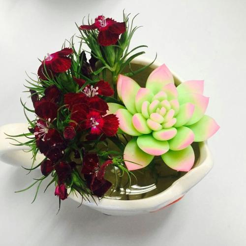 ɽۿൺִŶ:йǻ۸ۿػ